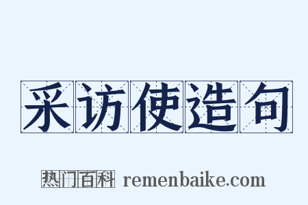 采访使造句是什么意思的图片